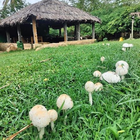 Hidden Place In Hampi Hotel ภายนอก รูปภาพ